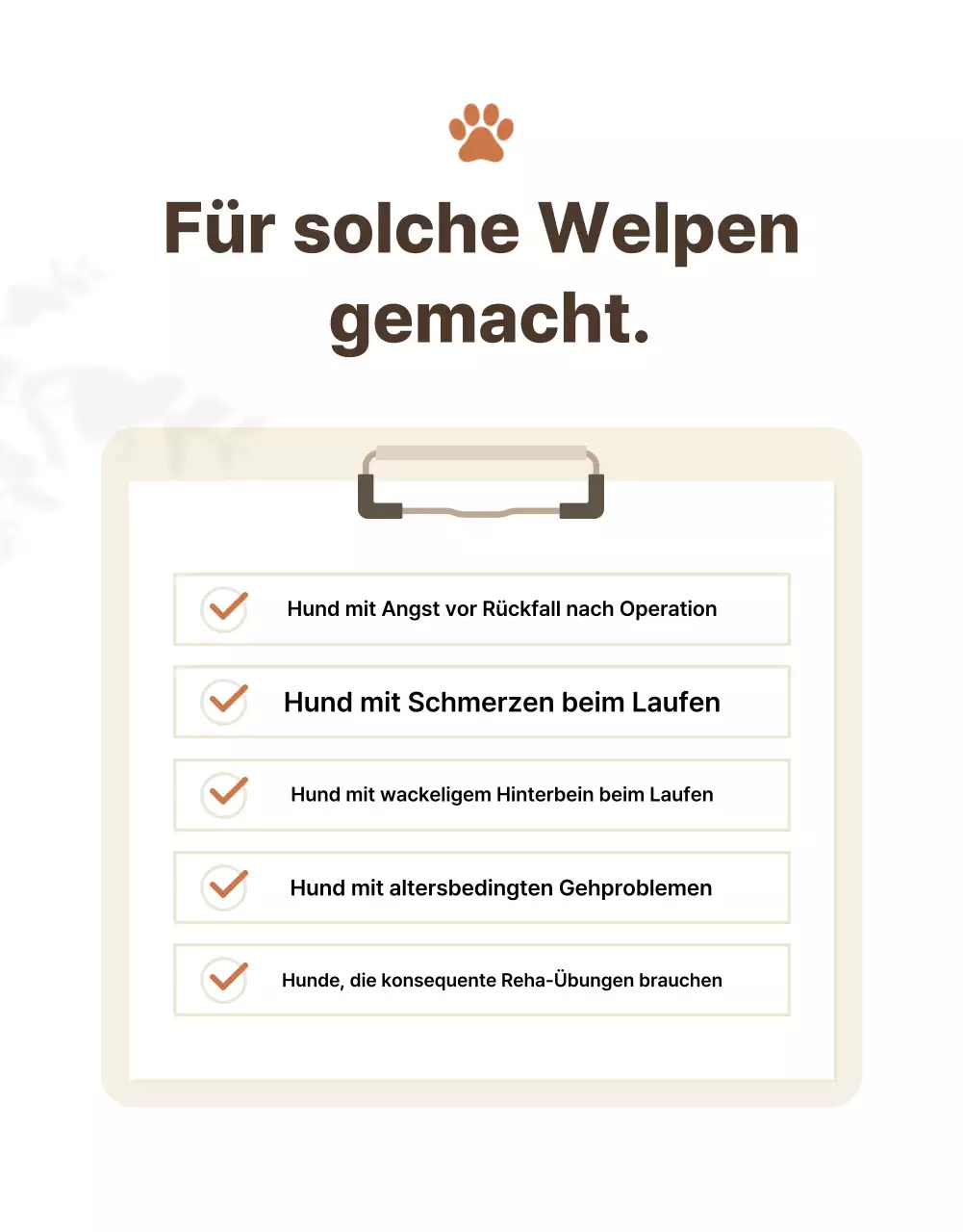 Wir stellen Ihnen Beige Clean Pet Products vor