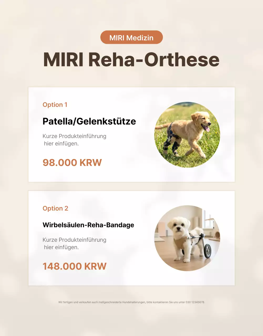 Wir stellen Ihnen Beige Clean Pet Products vor