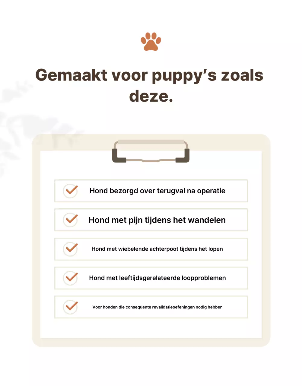 Maak kennis met Beige Clean huisdierproducten.