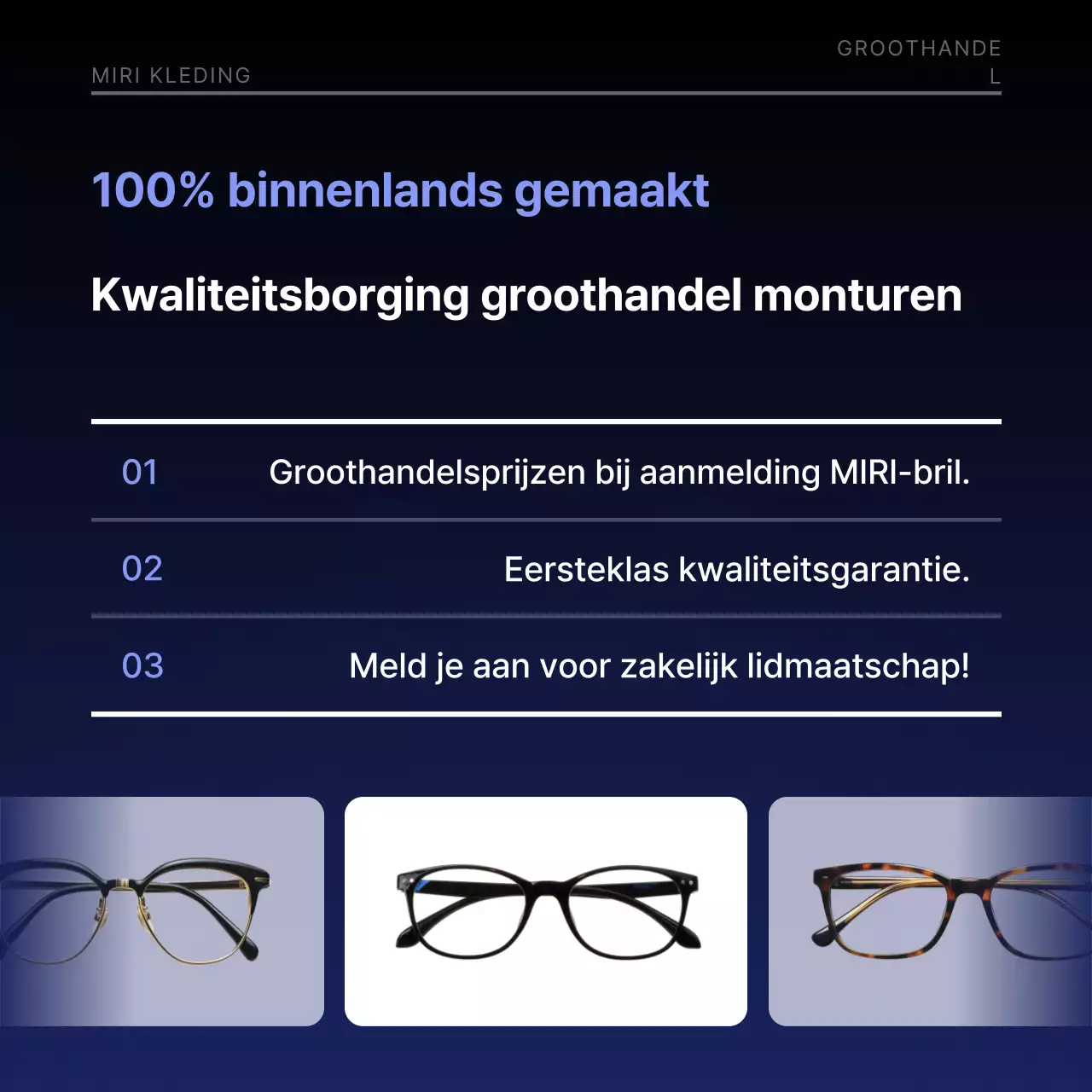 Promotie van moderne marineblauwe brillen