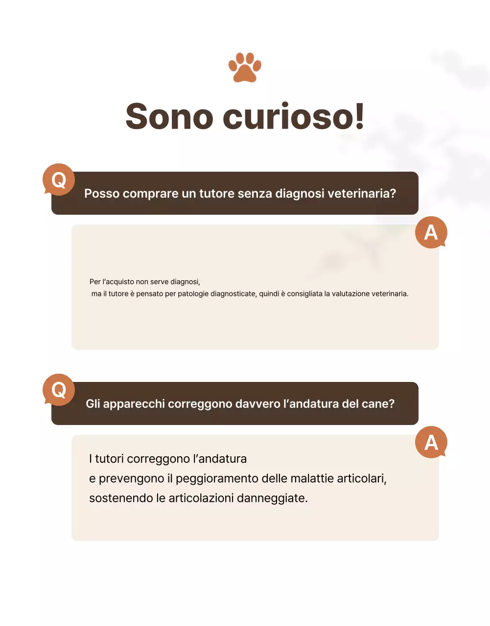 Presentazione dei prodotti Beige Clean Pet