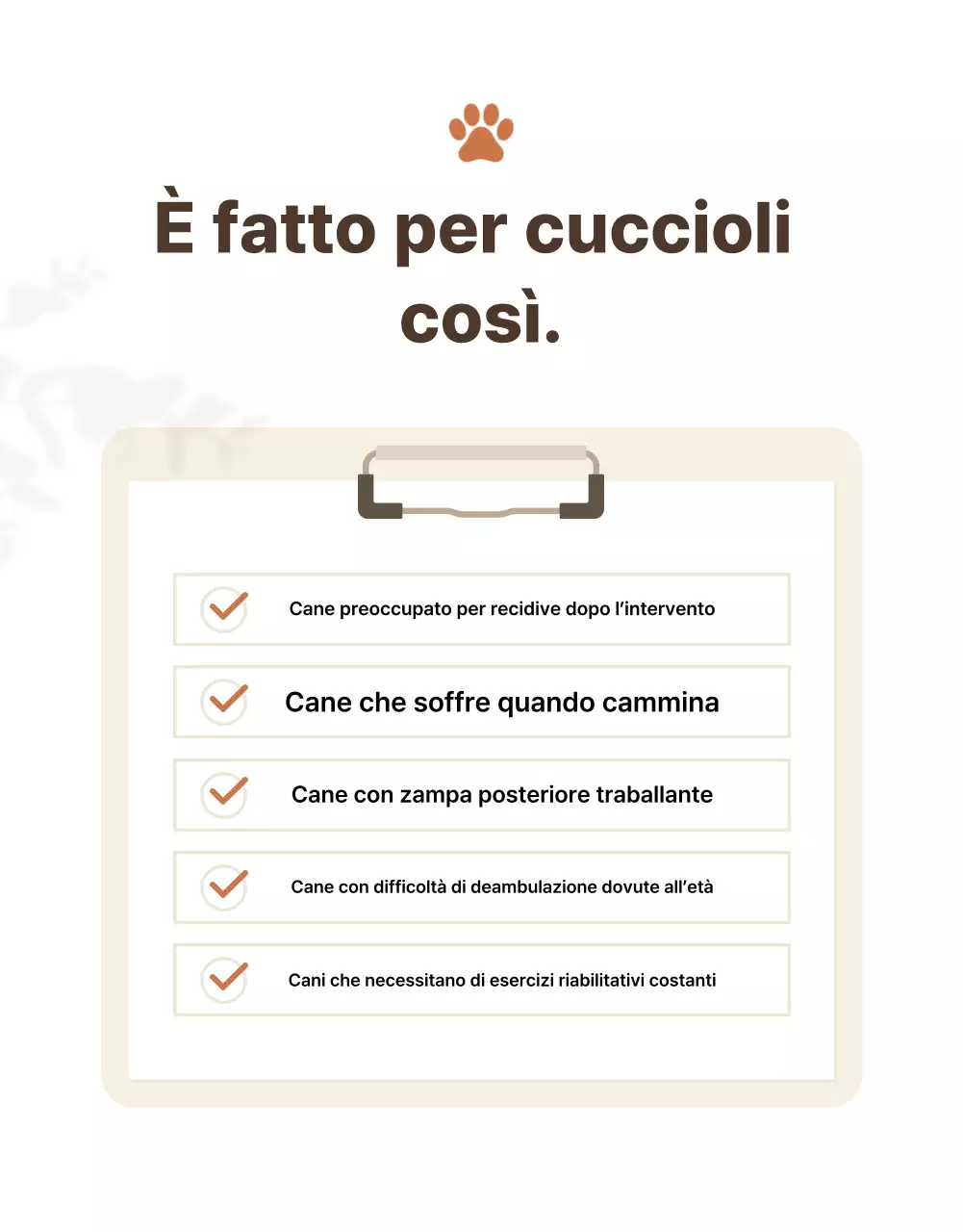 Presentazione dei prodotti Beige Clean Pet