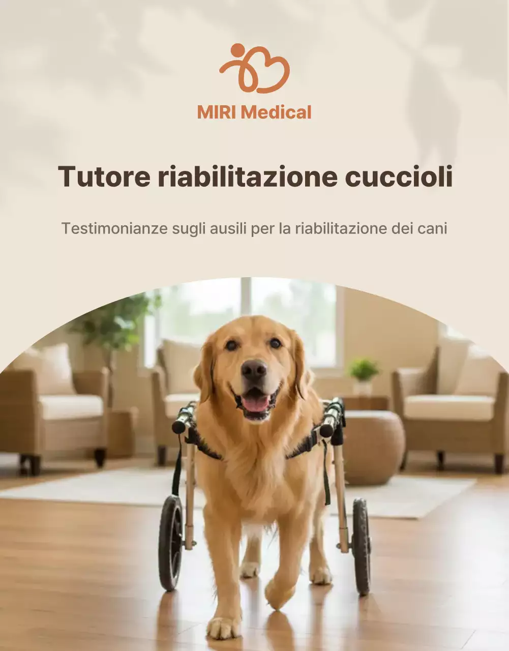 Presentazione dei prodotti Beige Clean Pet