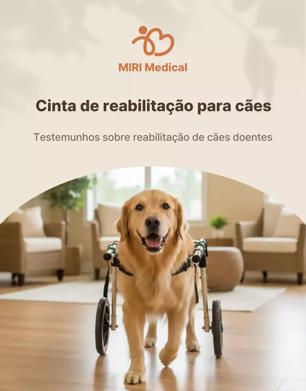 Apresentamos os produtos Beige Clean Pet.