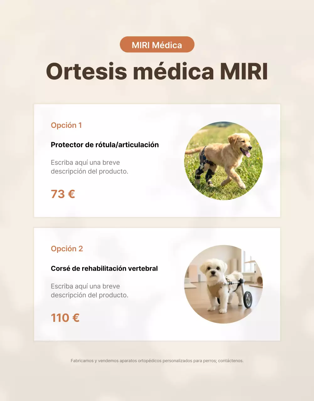 Presentamos los productos Beige Clean Pet