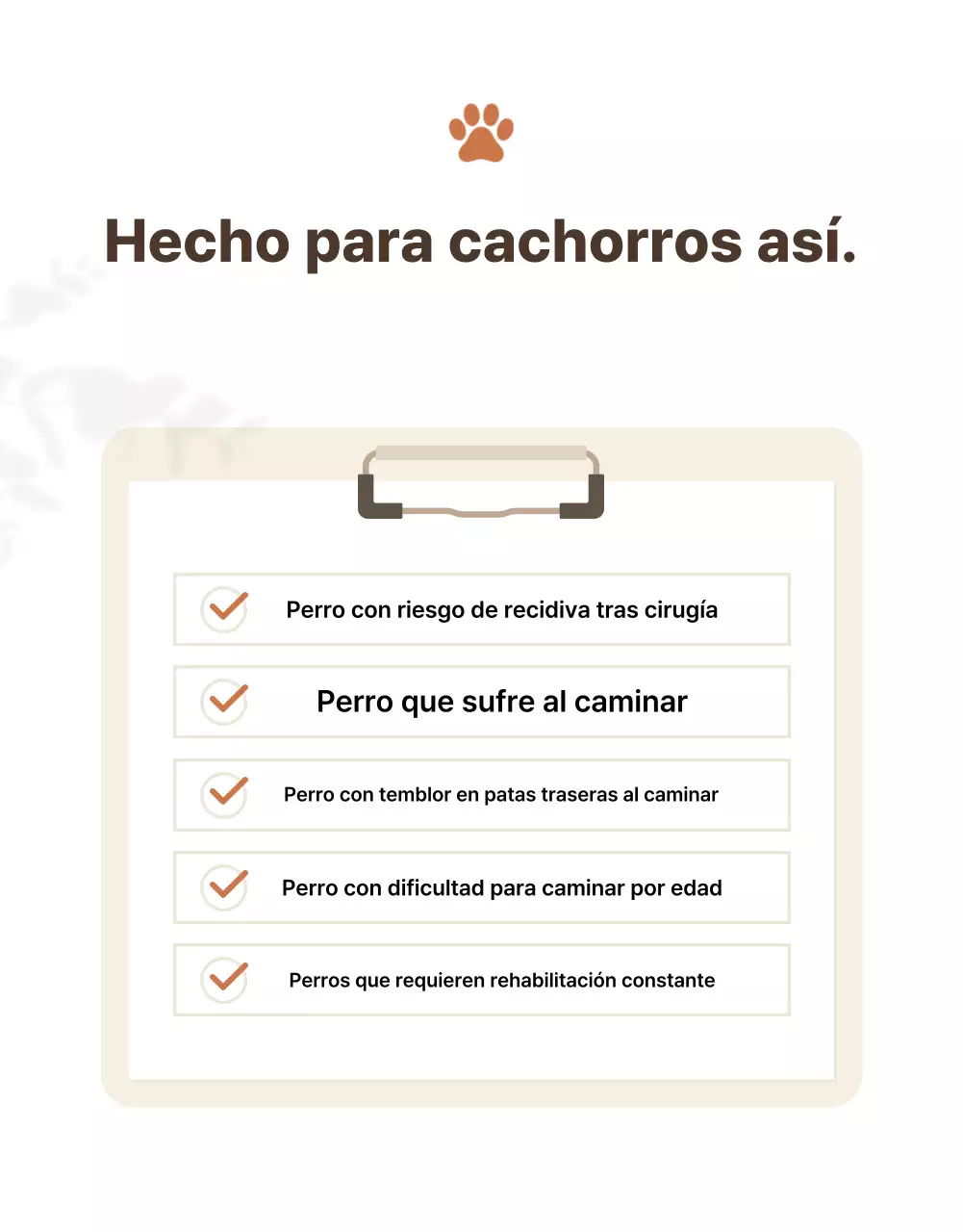 Presentamos los productos Beige Clean Pet