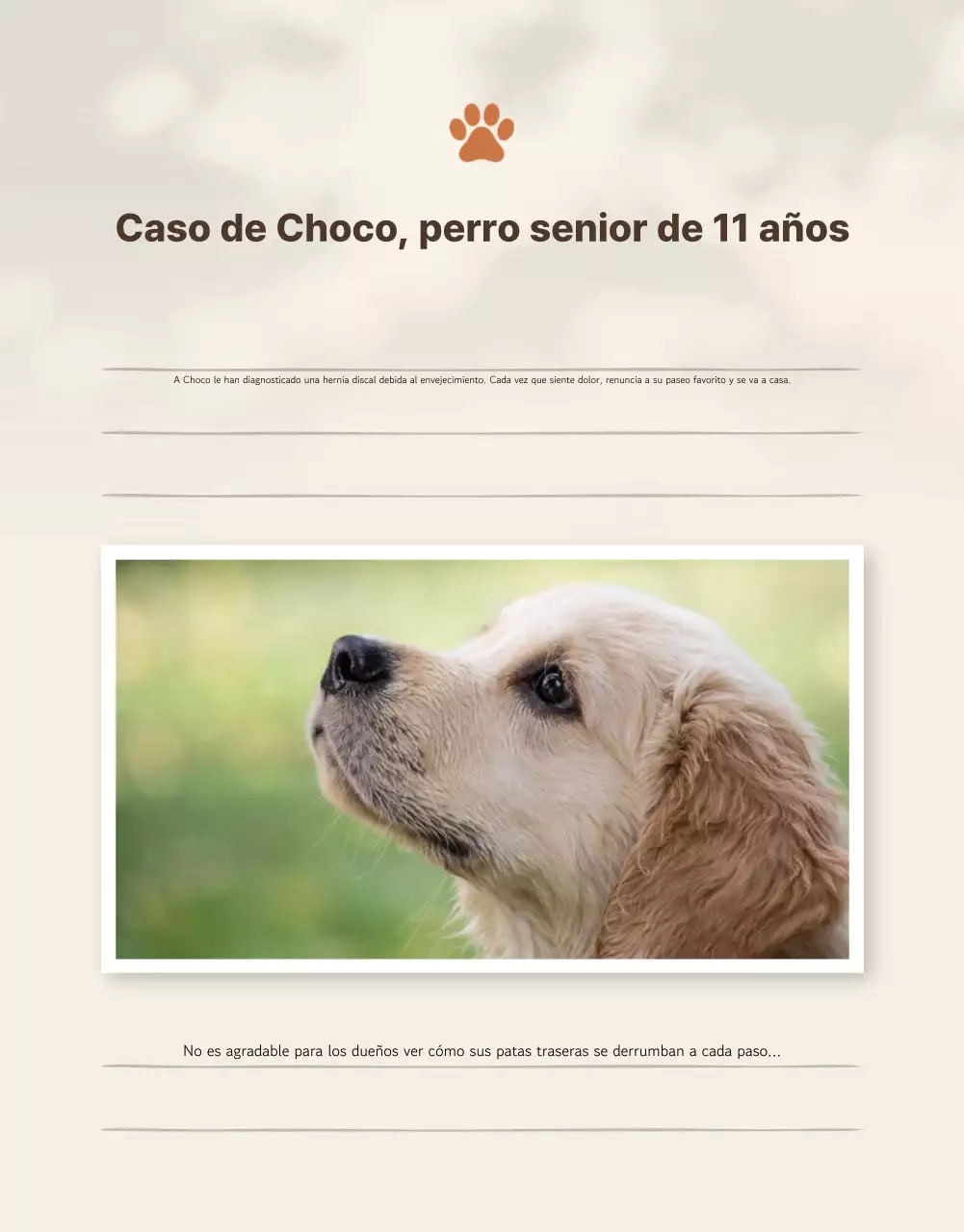 Presentamos los productos Beige Clean Pet