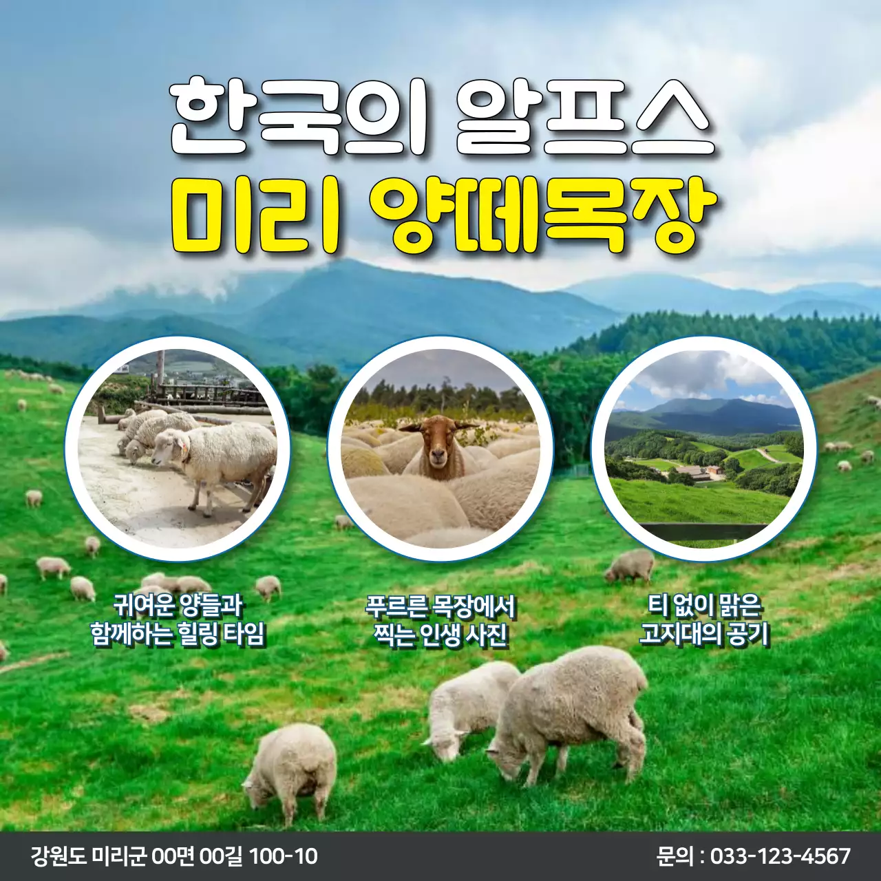 초록 자연 목장 광고