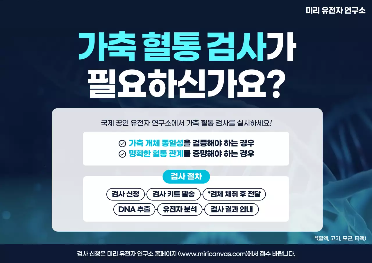 파랑 모던 유전자 검사 안내