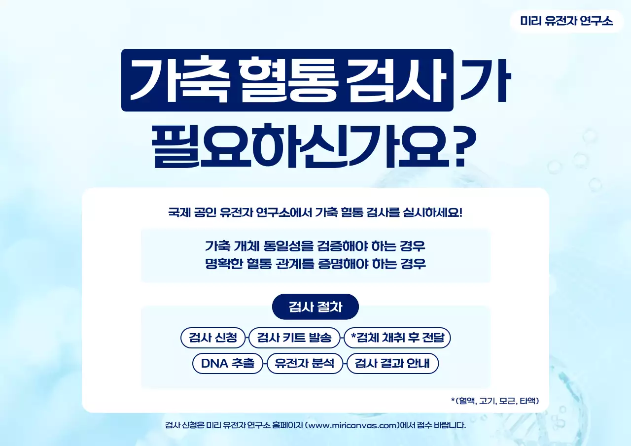 하늘색 깔끔 유전자 검사 안내