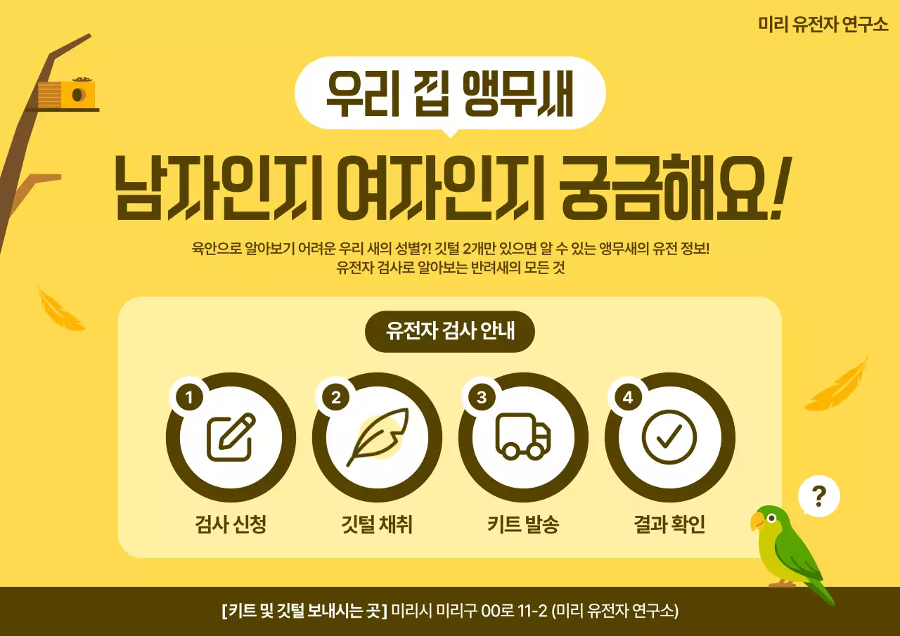 노랑 심플 유전자 검사 안내