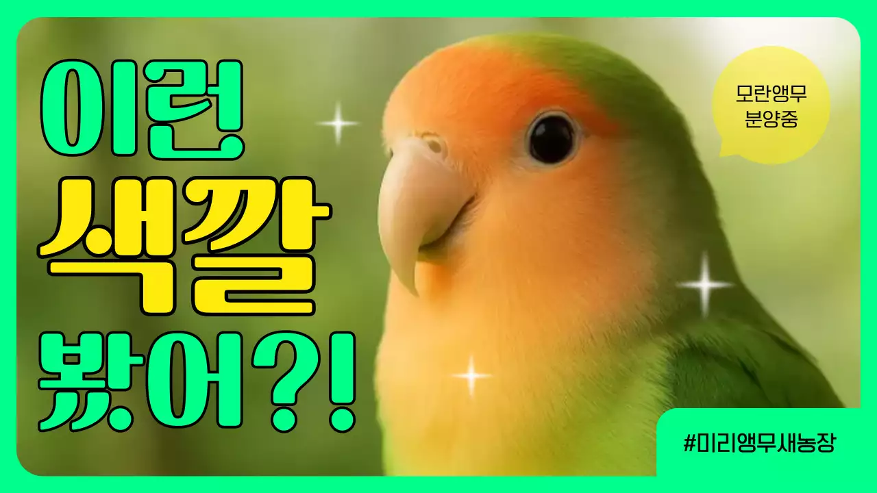 초록 아기자기한 반려동물 광고