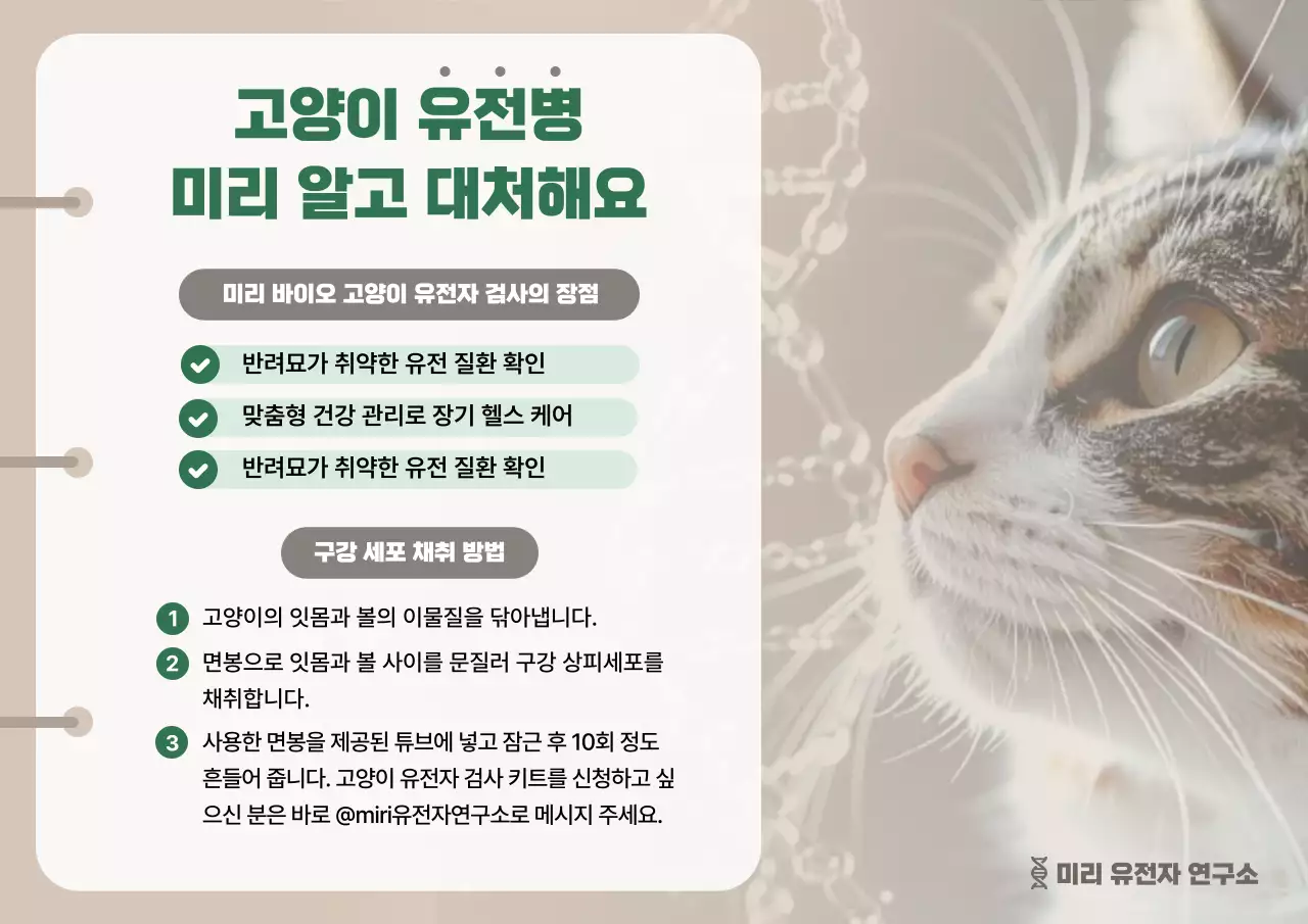 베이지 심플 반려동물 예방