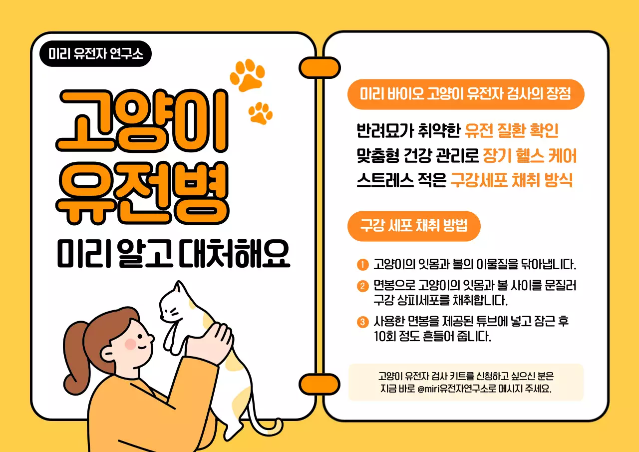 주황 깔끔 반려동물 정보 전달