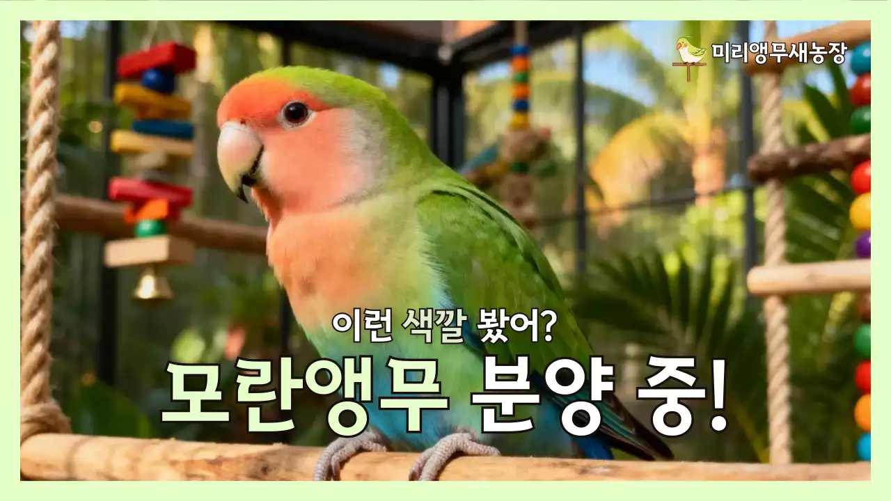 연두 아기자기한 반려동물 광고