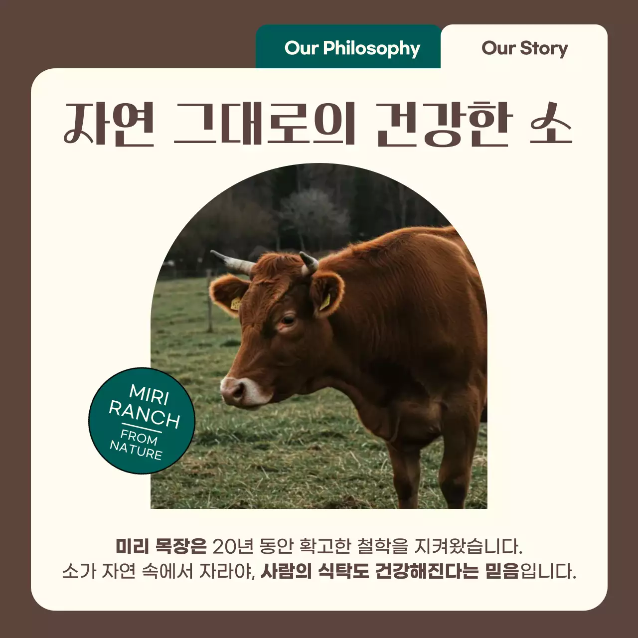갈색 모던한 친환경 소 목장 홍보