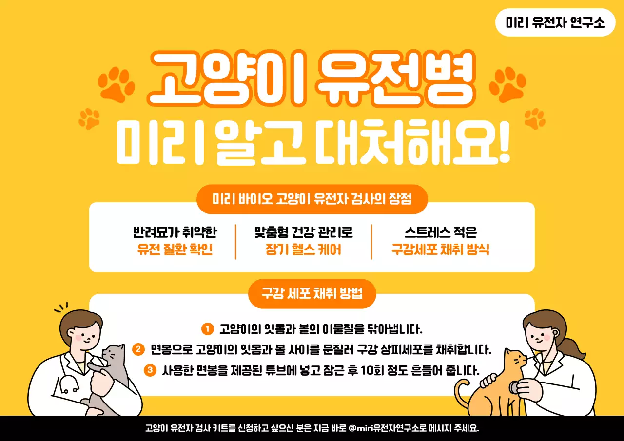 주황 아기자기한 반려동물 건강 안내