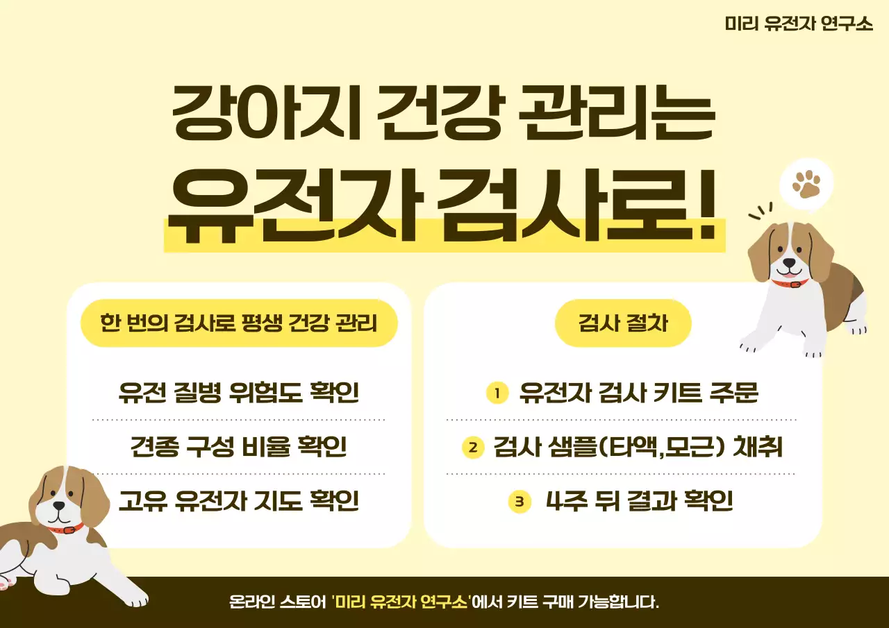 노랑 심플 반려동물 정보 전달