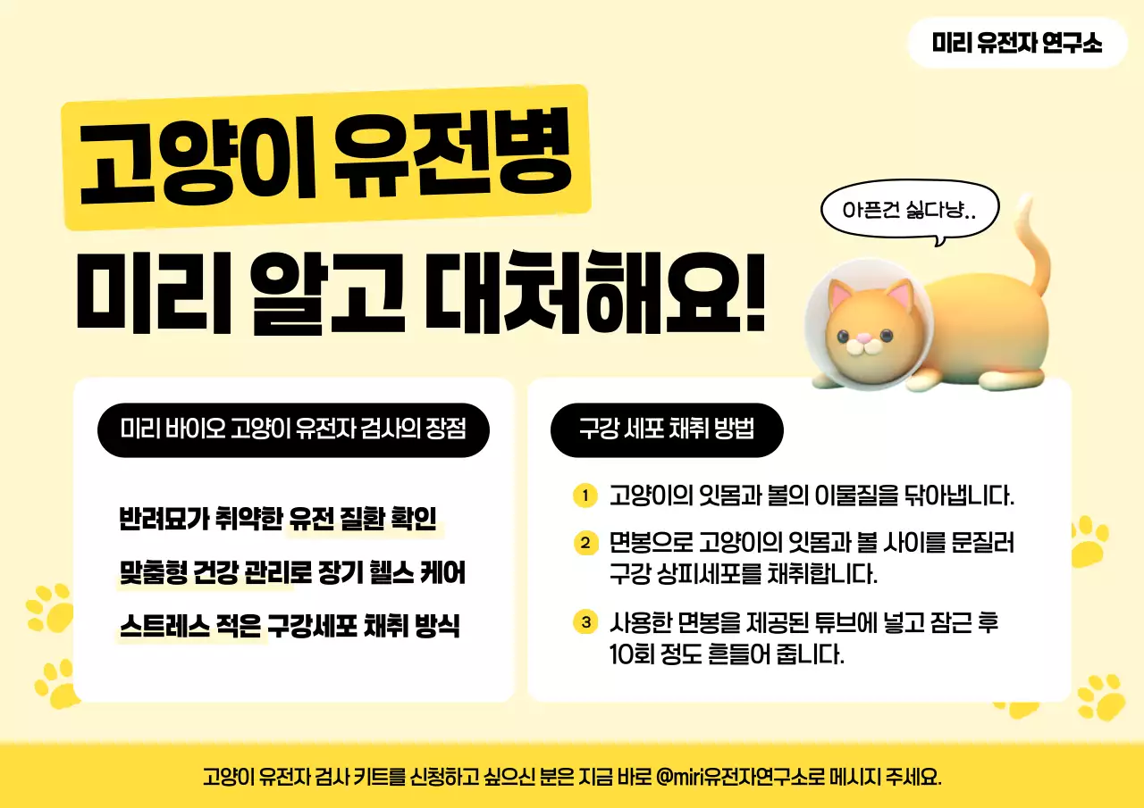 노랑 깔끔 반려동물 정보 전달