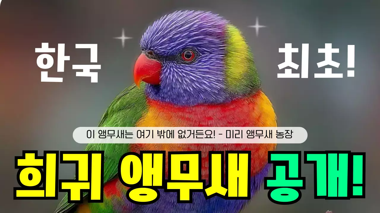 무지개색의 깔끔한 희귀 앵무새 소개 및 분양 홍보