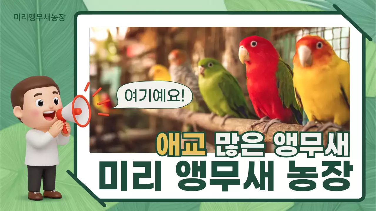 초록 아기자기한 앵무새 농장 홍보