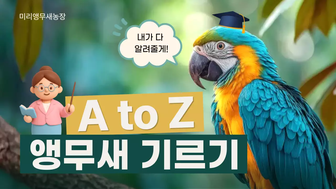 청록 아기자기한 앵무새 기르기 안내