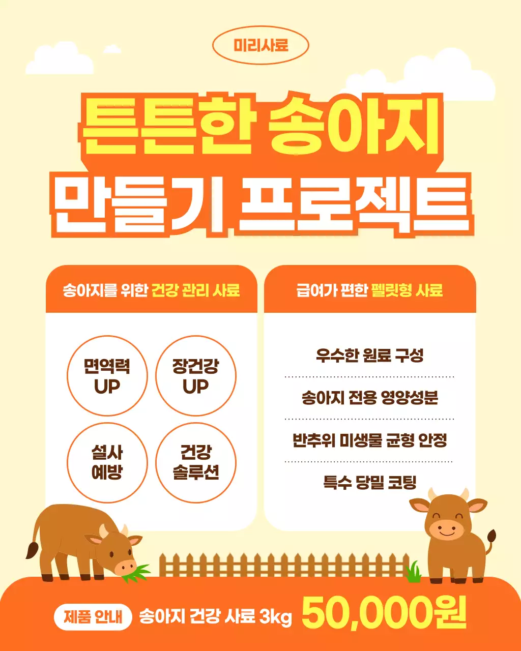 주황 심플 건강관리 제품 홍보