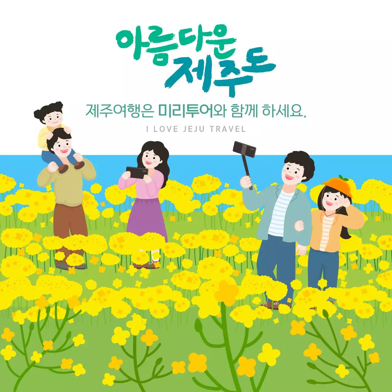 노랑색 아기자기한 제주 유채꽃 축제