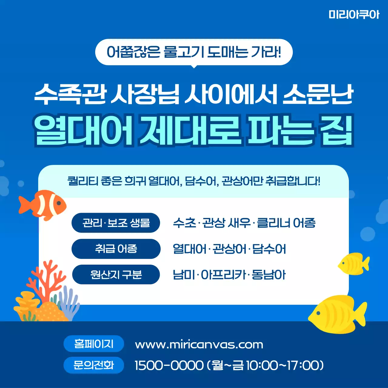 파랑 모던 열대어도매 광고