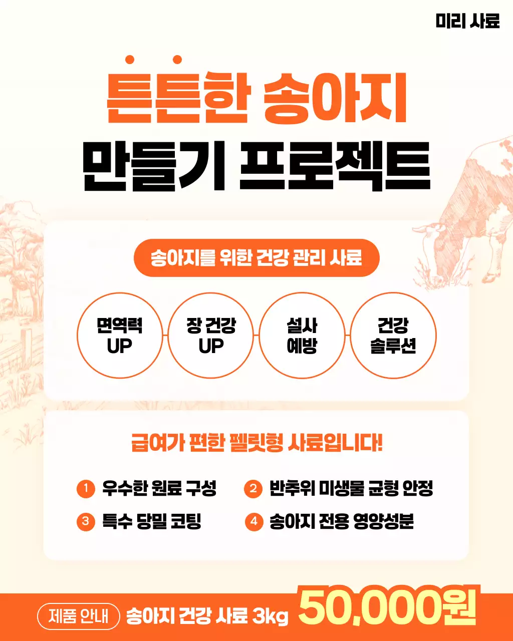 주황 모던 건강사료 광고