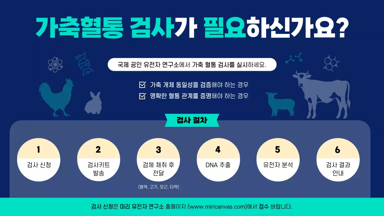 네이비의 깔끔한 가축 혈통 검사 안내