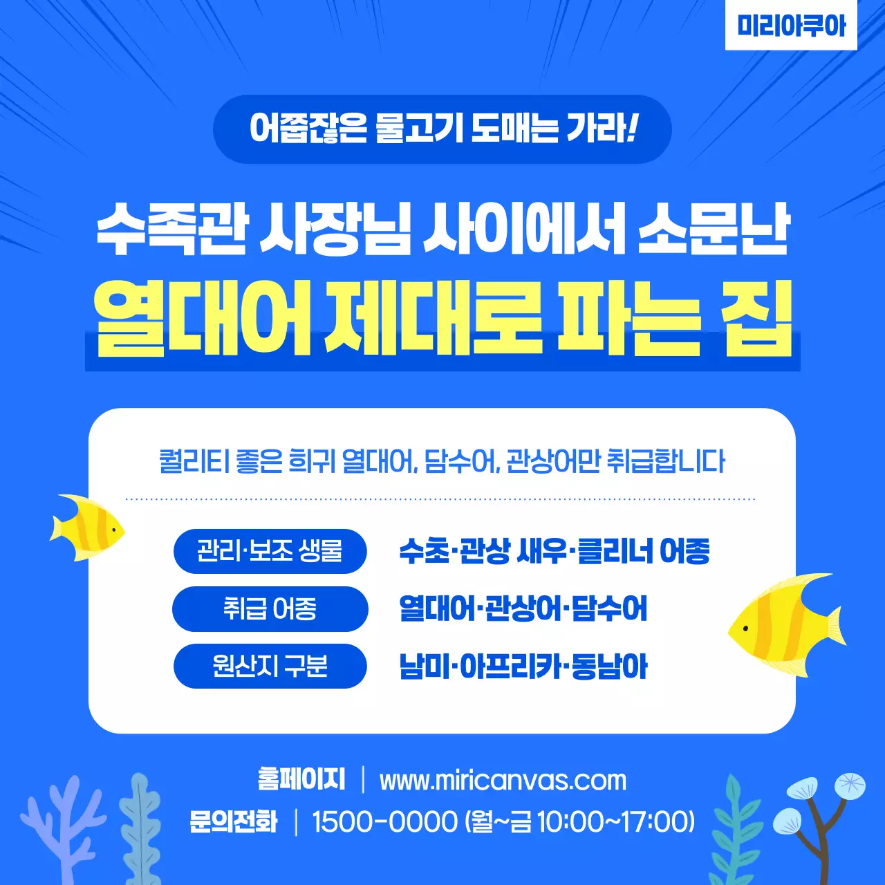 파랑 심플 수족관 광고