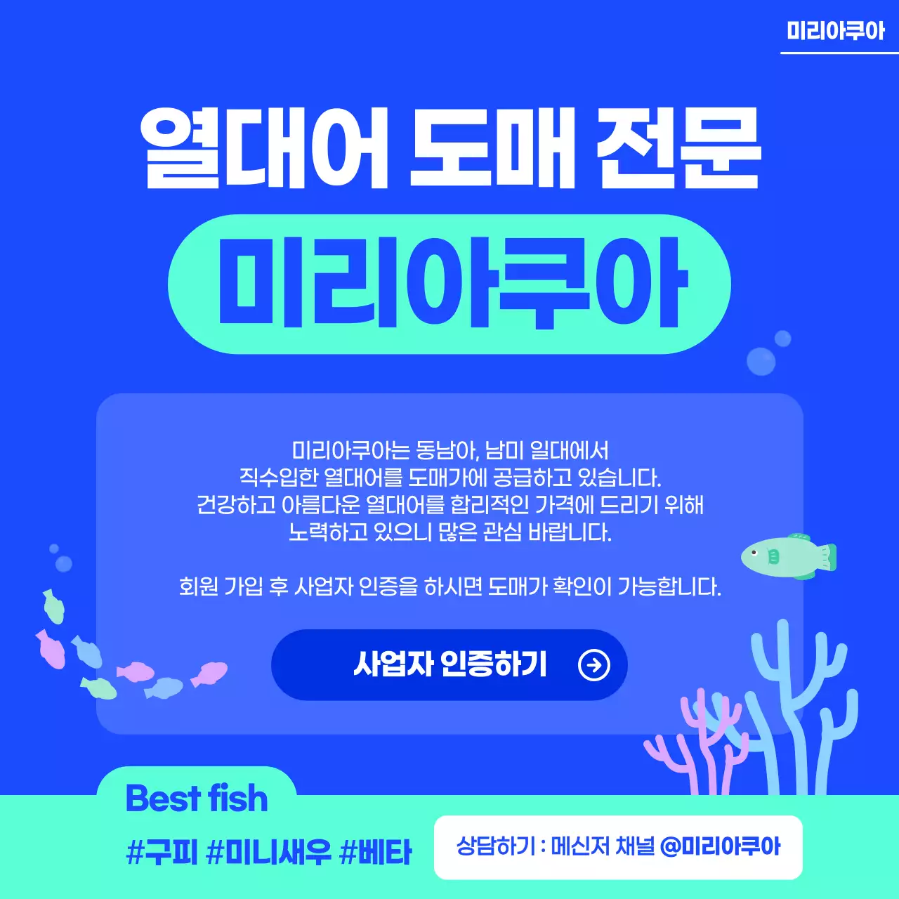 파랑 모던 열대어도매 광고