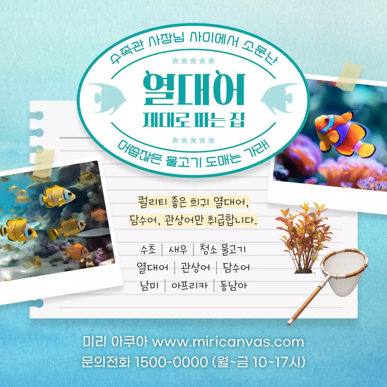 민트 심플 수족관 광고