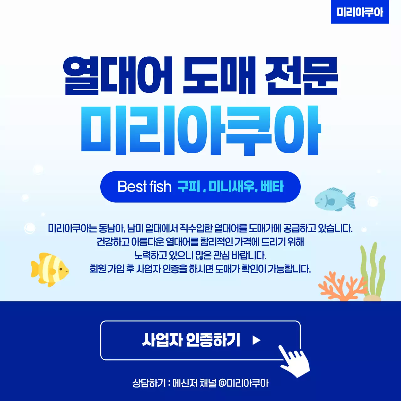 파랑 모던 열대어도매 광고