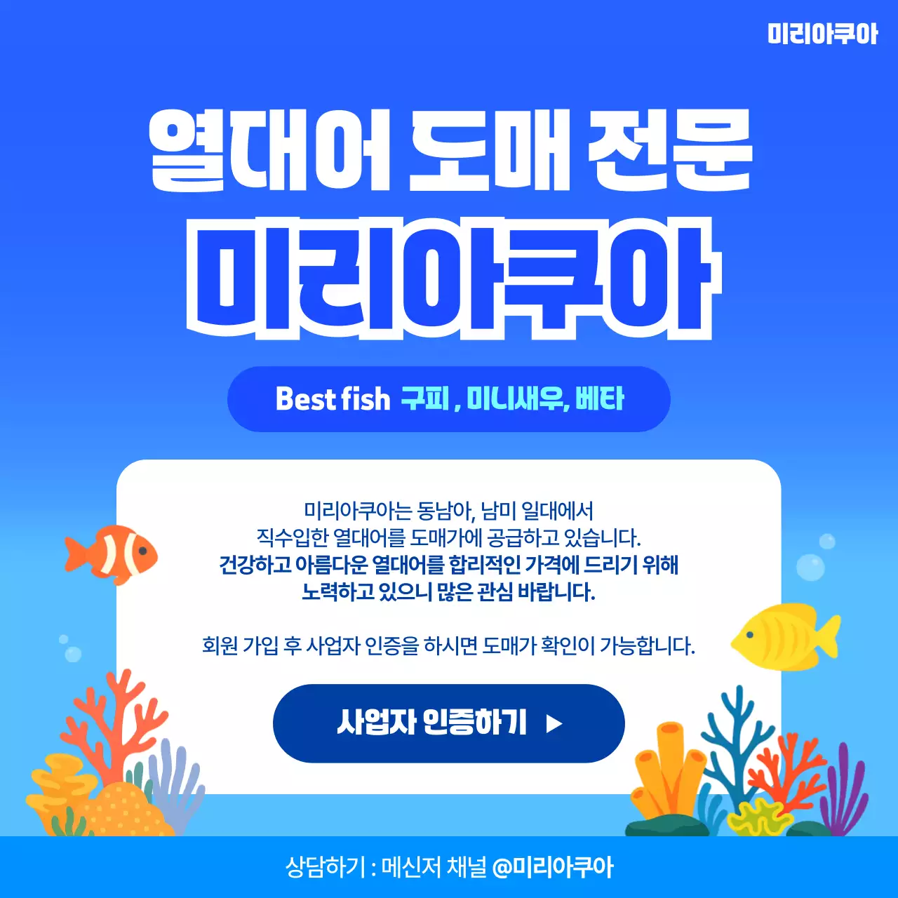 파랑 모던 열대어 도매 광고