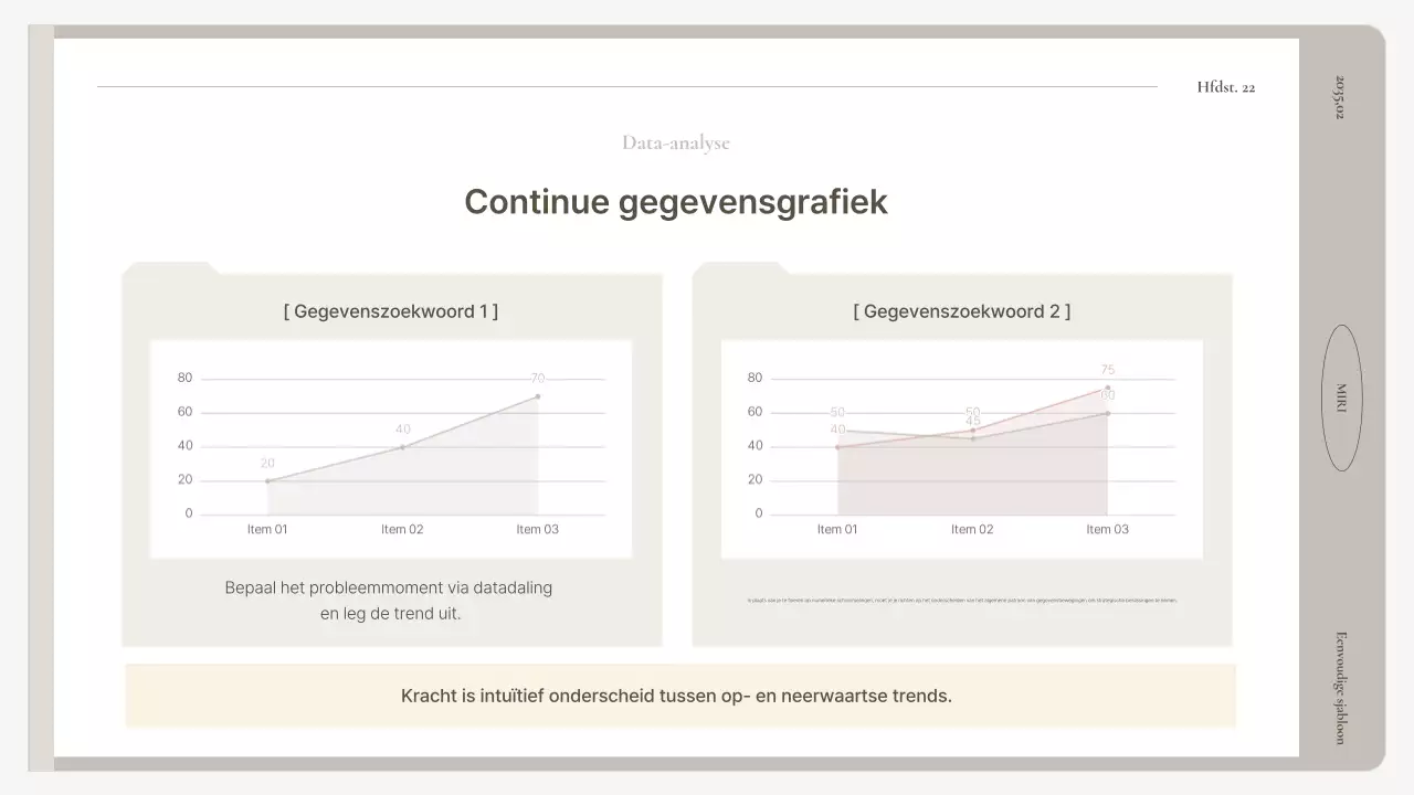 Beige Basis Rapporthandleiding