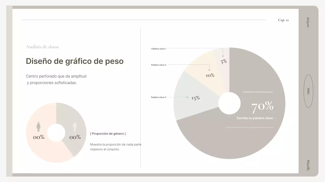 Manual de informe básico en beige