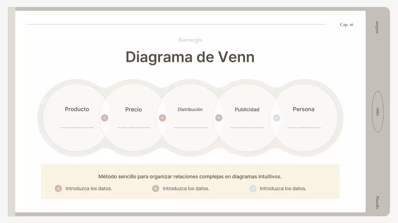 Manual de informe básico en beige