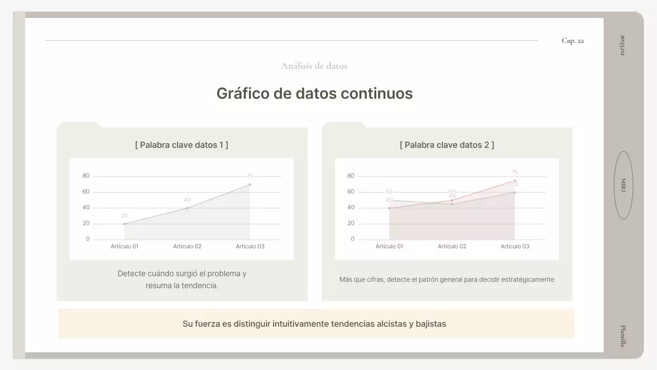 Manual de informe básico en beige