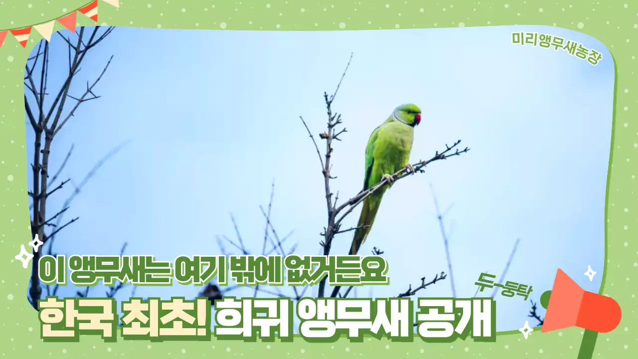 초록 아기자기한 동물 전시회