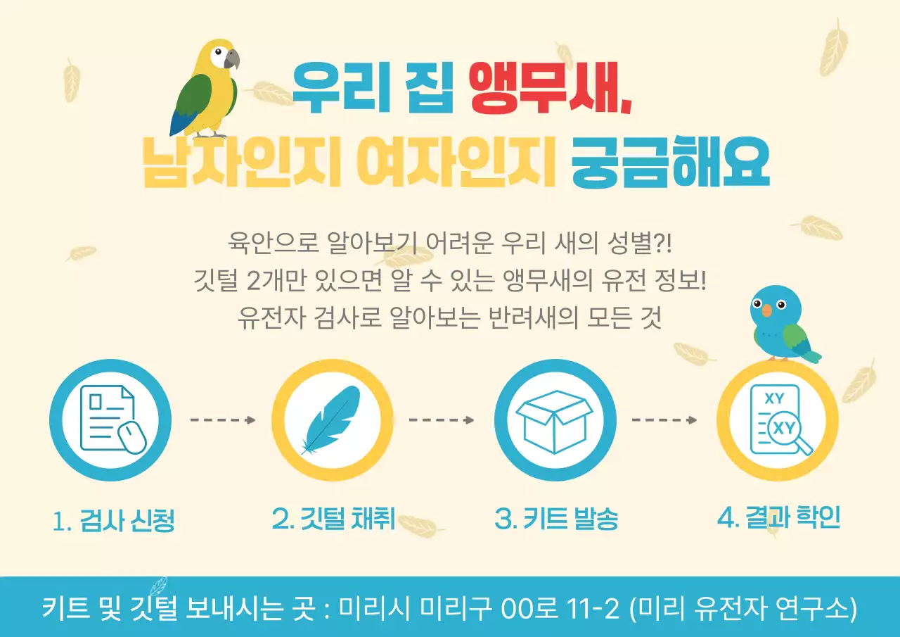 노란색의 깔끔한 앵무새 유전자 검사 안내