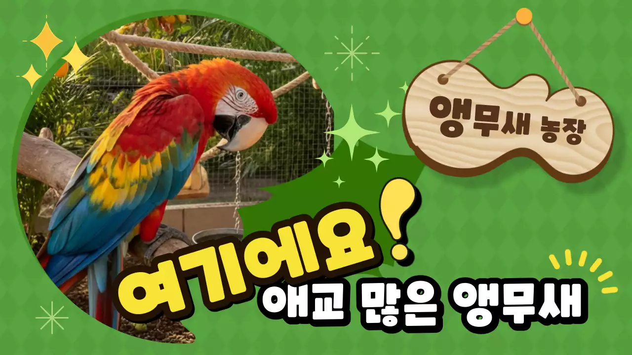 초록 아기자기한 동물원 안내