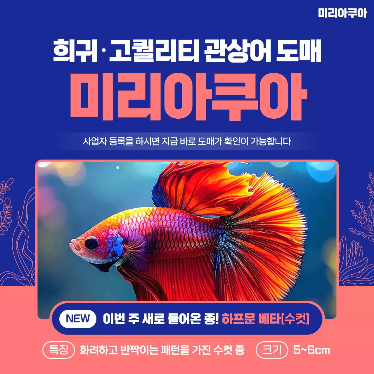 파랑 모던 수족관 광고