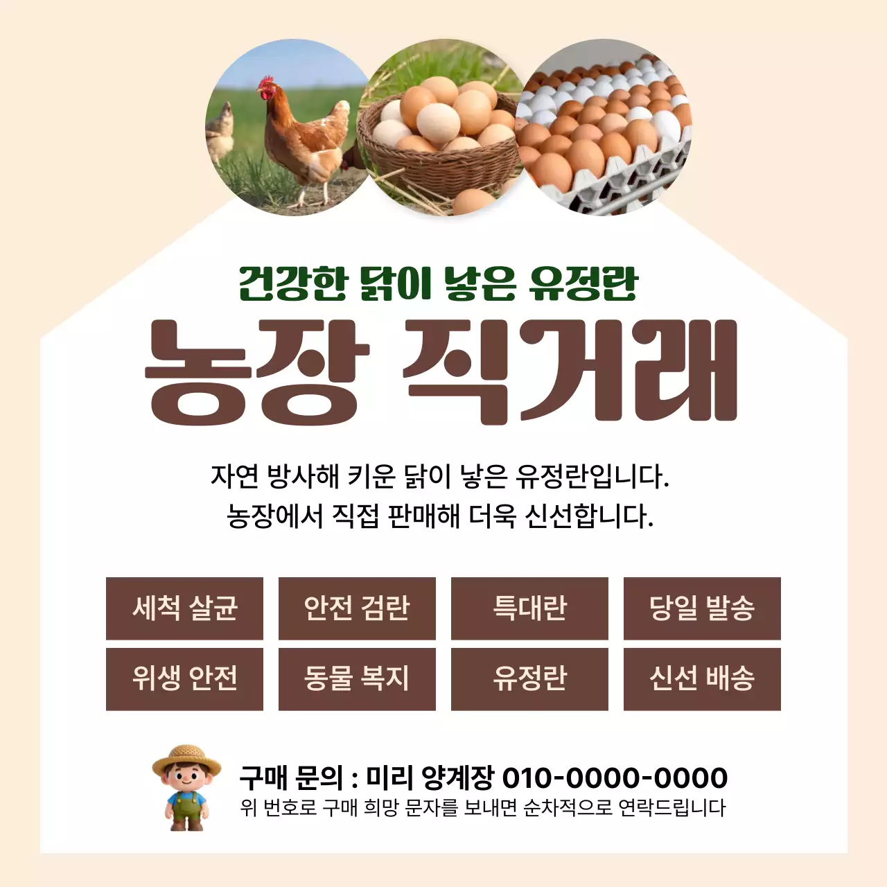 갈색 심플 유정란 광고