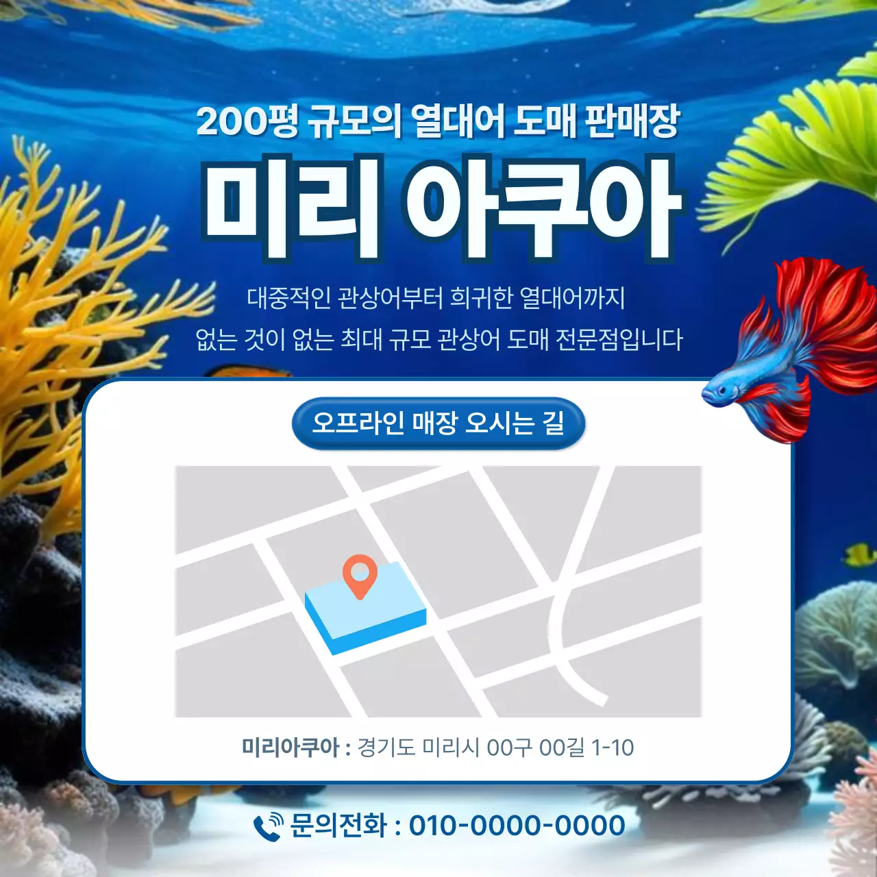 블루 모던 열대어 도매 홍보