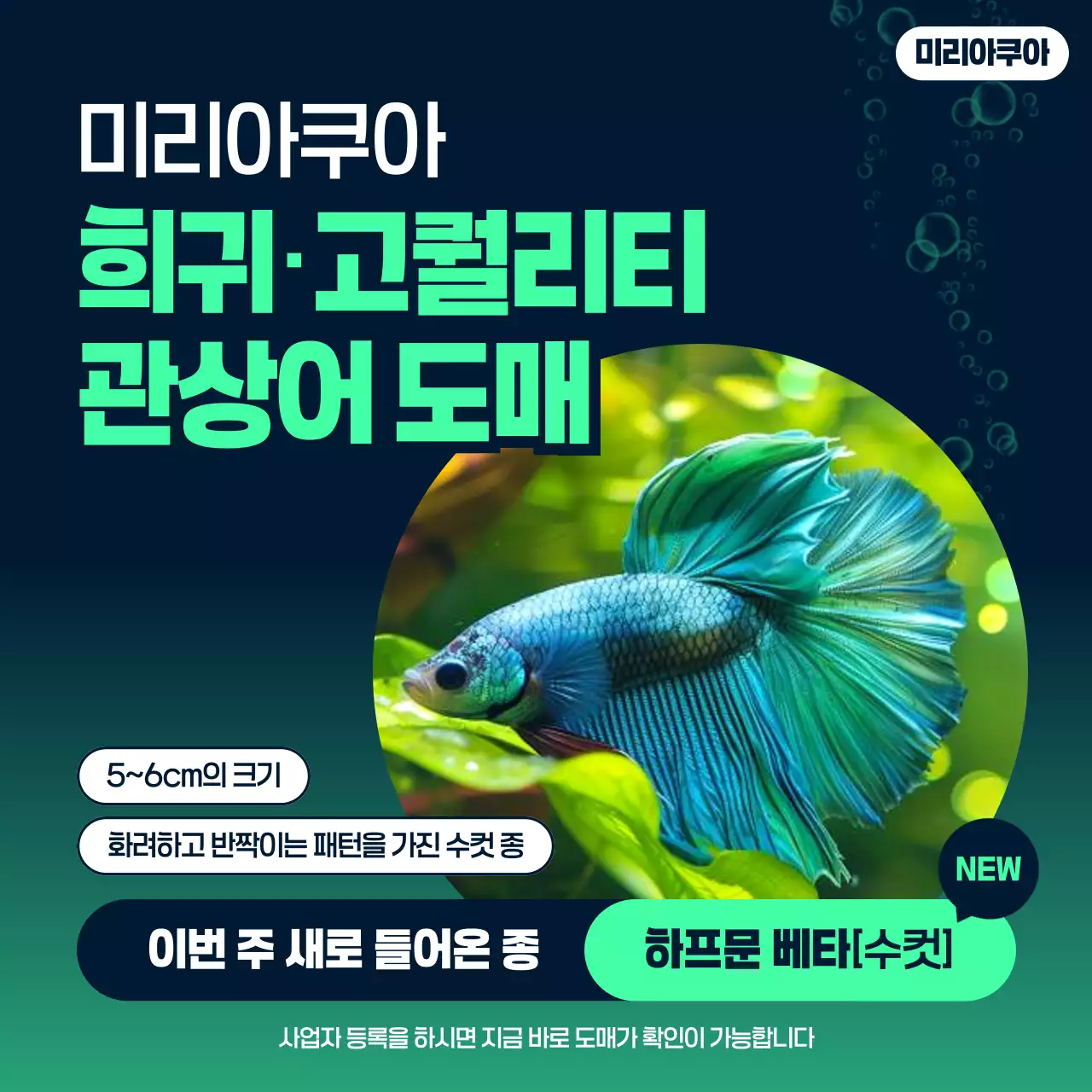 초록 모던 수족관 광고