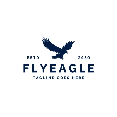 navy modern eagle for brand identity