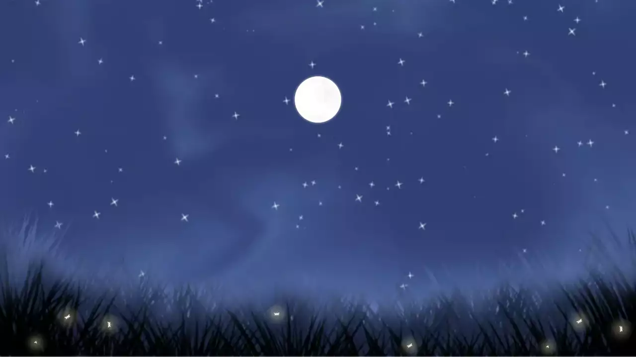 파랑 심플 자연 엽서