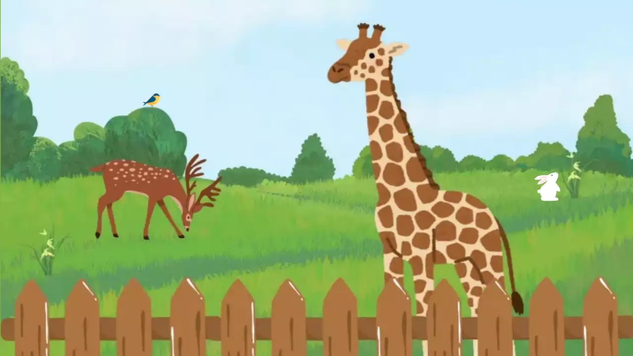 초록 아기자기한 동물 포토프레임